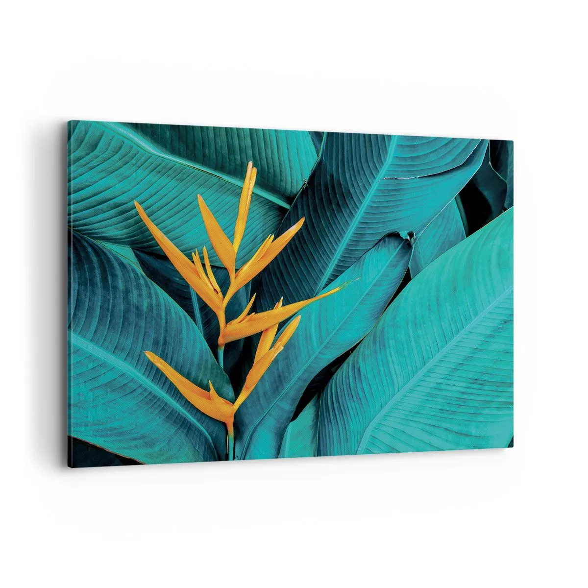 Bild auf Leinwand - Leinwandbild - Eine exotische Blume vor einem Hintergrund aus Bananenblättern in Türkistönen. - 100x70cm - Eden-Blume - Moderne Wanddekoration für Wohnzimmer und Schlafzimmer ARTTOR