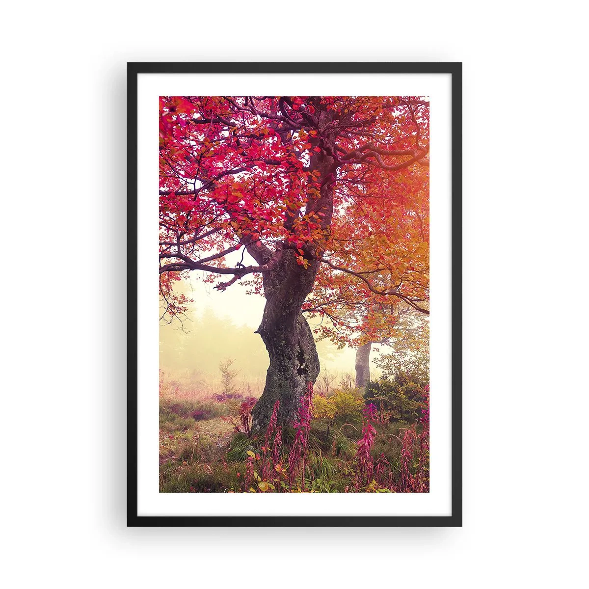 Poster in einem schwarzem Rahmen - Ein Baum mit roten Blättern in einer Herbstlandschaft - 50x70cm - Blühende Raserei - Moderne Wanddekoration für Wohnzimmer und Schlafzimmer ARTTOR