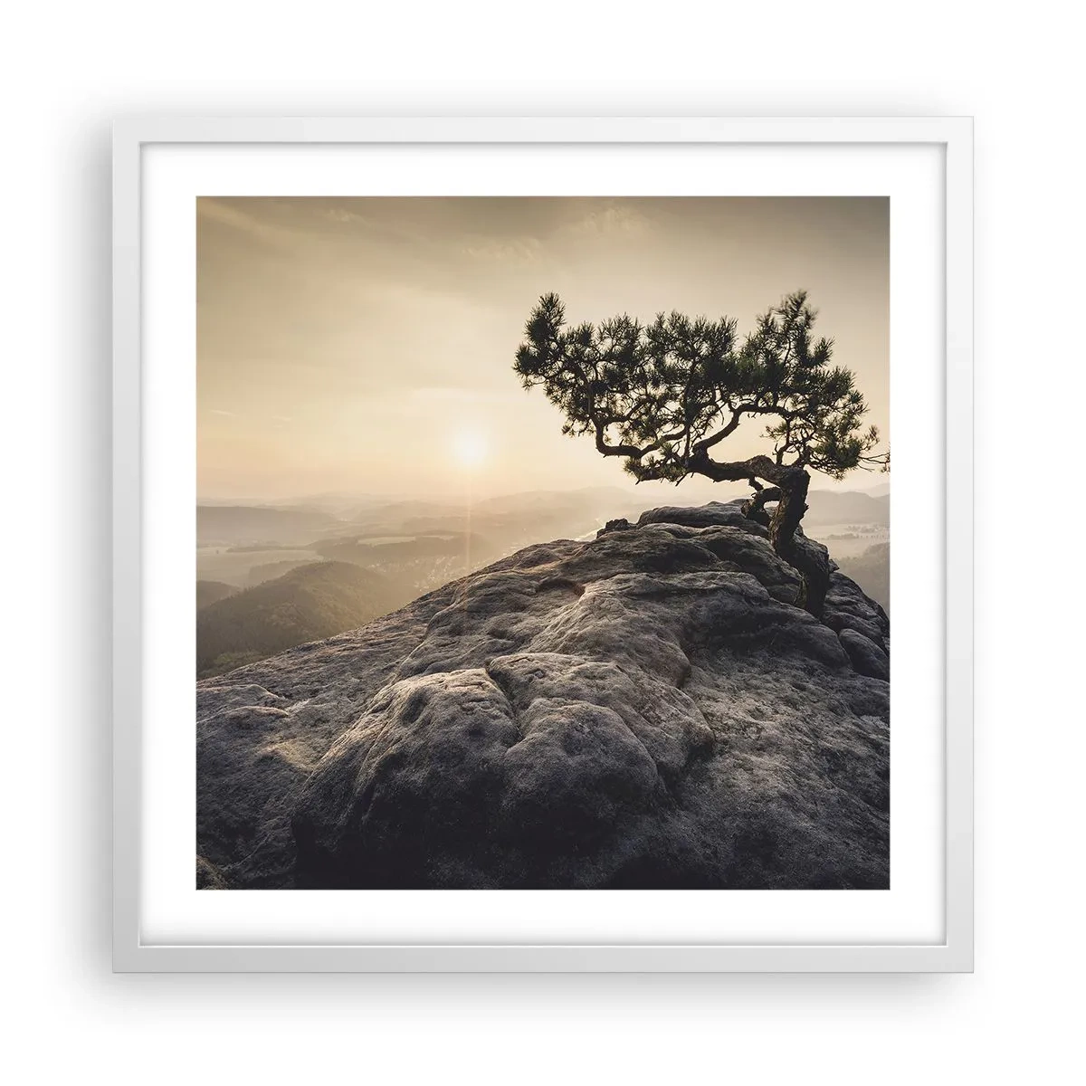 Poster in einem weißen Rahmen - Das Leben gewinnt immer - 50x50 cm