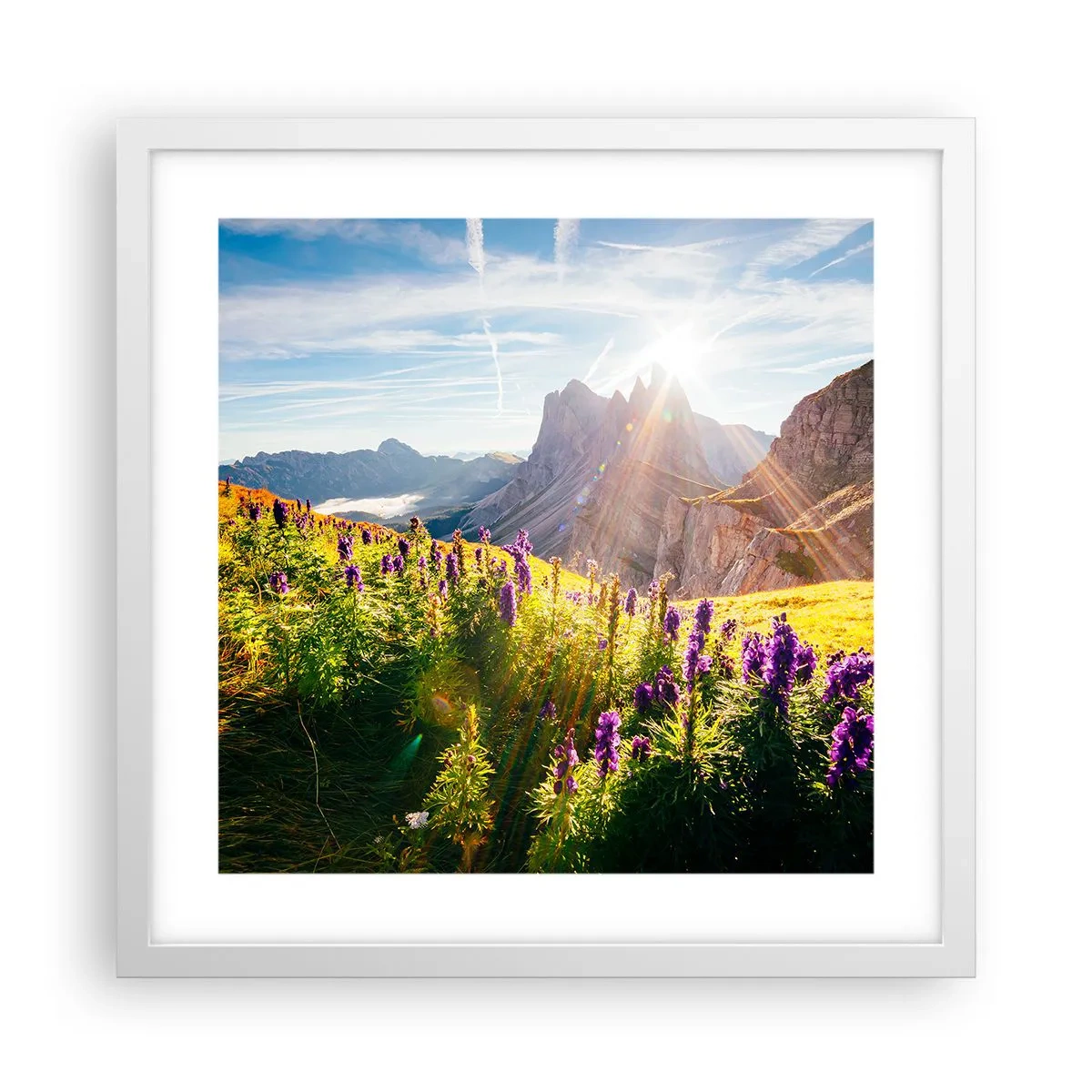 Poster in einem weißen Rahmen - Das geheime Leben der Kräuter - 40x40 cm