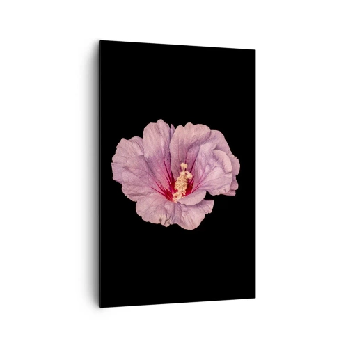 Bild auf Leinwand - Leinwandbild - Rosa Blume auf schwarzem Hintergrund - 80x120cm - Direkt ins Herz - Moderne Wanddekoration für Wohnzimmer und Schlafzimmer ARTTOR
