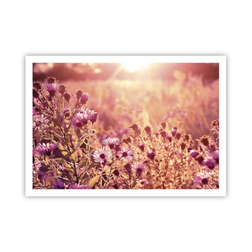 Poster - Wiese im Licht der untergehenden Sonne - 100x70cm - Bevor der Sommer vorbei ist - Moderne Wanddekoration für Wohnzimmer und Schlafzimmer ARTTOR