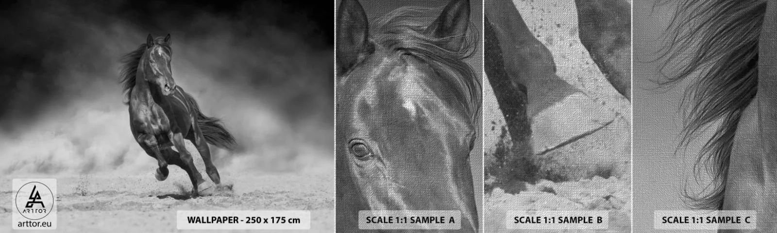 Fototapeten Muster Premium Canvas - Würdig des Emirs selbst - Pferd, Tiere, Natur - 100x30 cm