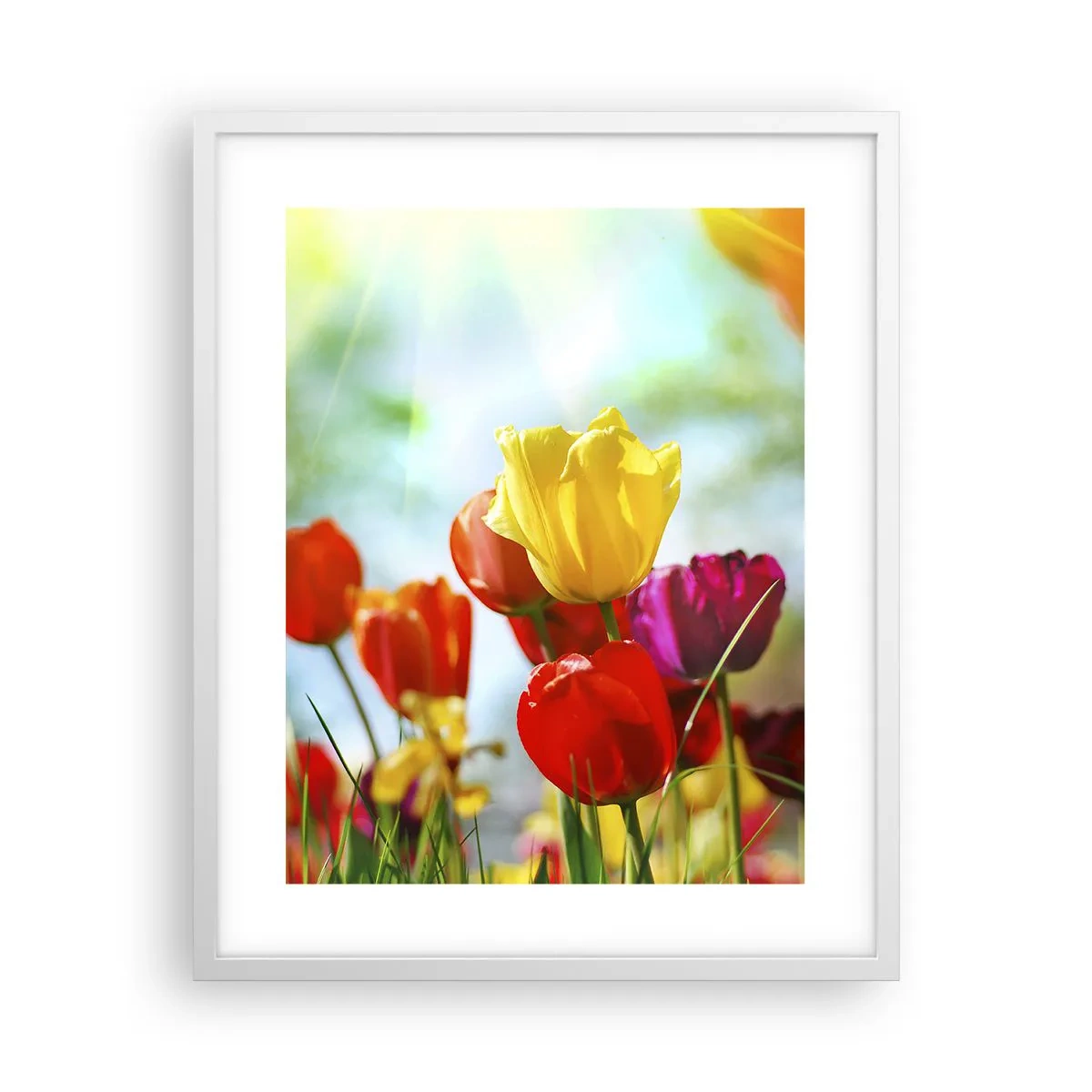 Poster in einem weißen Rahmen - Alle Farben der Sonne - 40x50 cm