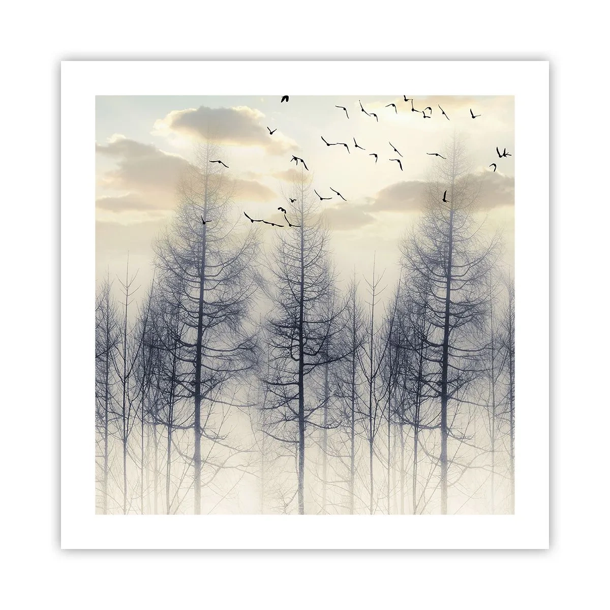 Poster - Waldgeister - 50x50 cm