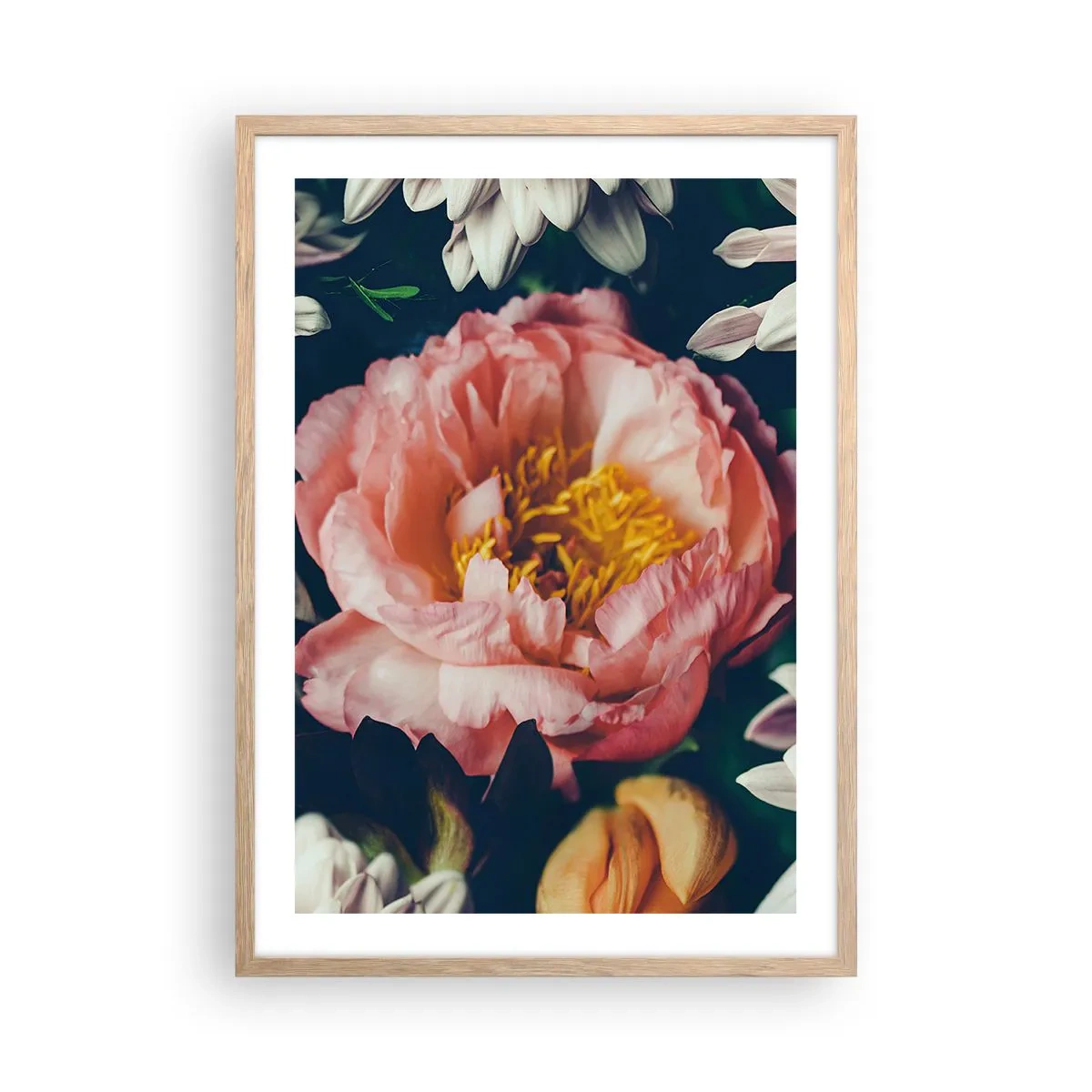 Poster in einem Rahmen aus heller Eiche - Mit barocker Pracht - 50x70 cm