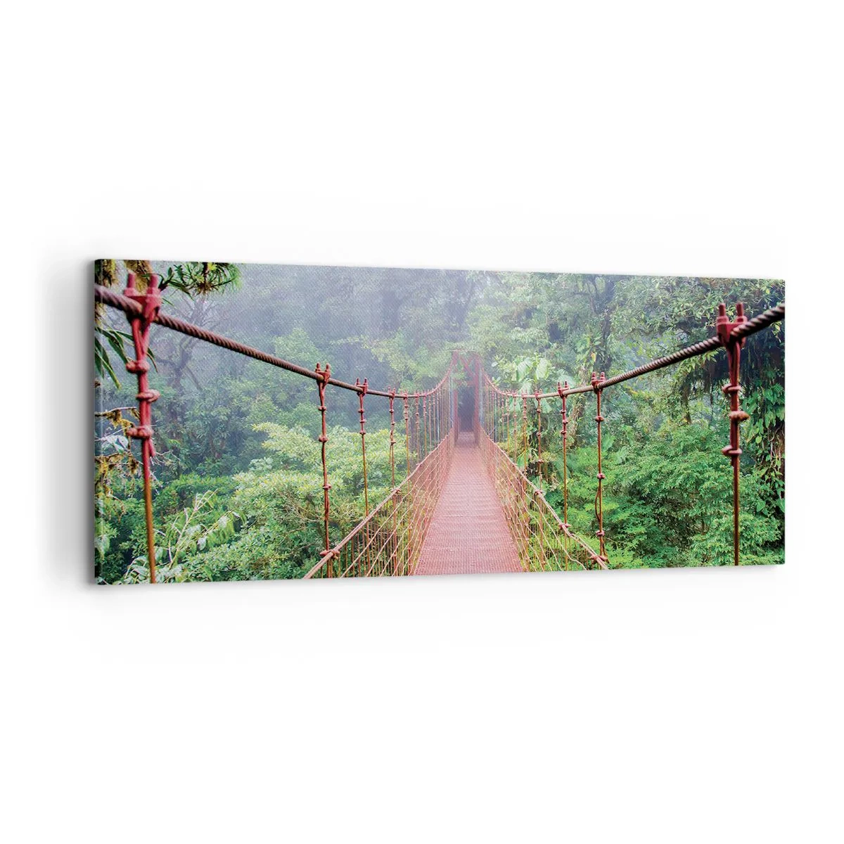 Bild auf Leinwand - Leinwandbild - Über den Kronen aufgehängt - 100x40 cm
