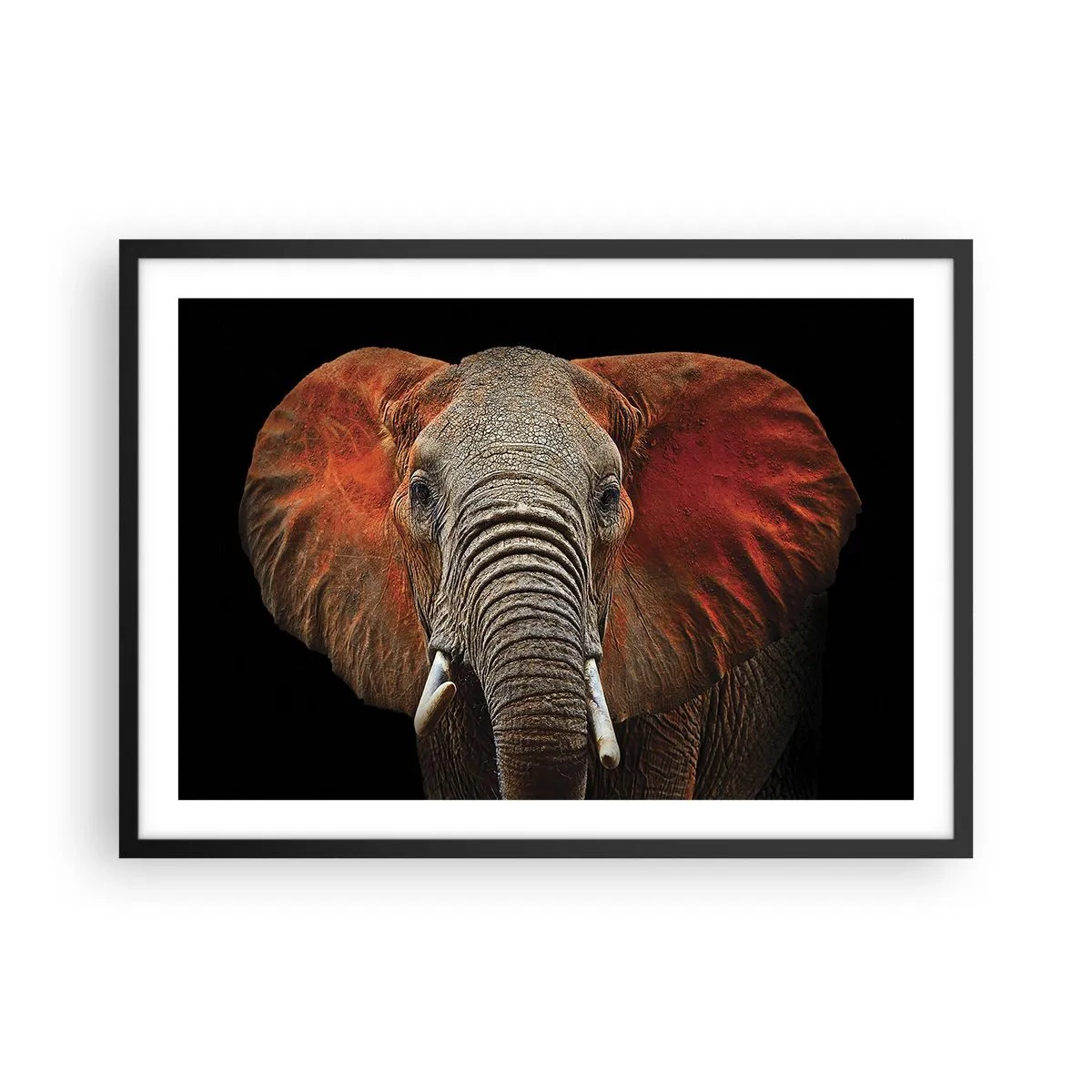Poster in einem schwarzem Rahmen - Porträt eines Elefanten auf schwarzem Hintergrund - 70x50cm - Ich bin wild und du? - Moderne Wanddekoration für Wohnzimmer und Schlafzimmer ARTTOR