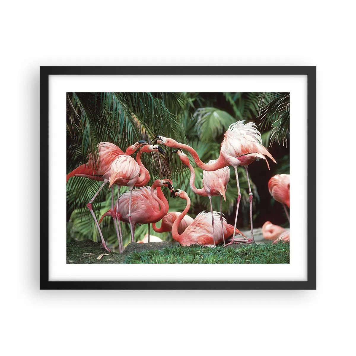 Poster in einem schwarzem Rahmen - Nachmittagsklatsch - 50x40 cm