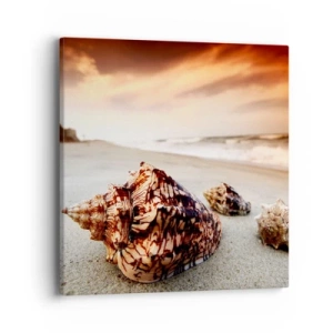 Bild auf Leinwand - Leinwandbild - Ausgestoßene von Wellen - 40x40 cm