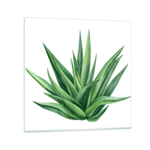 Glasbild - Bild auf glas - Grün – Kraft – Leben - 30x30 cm