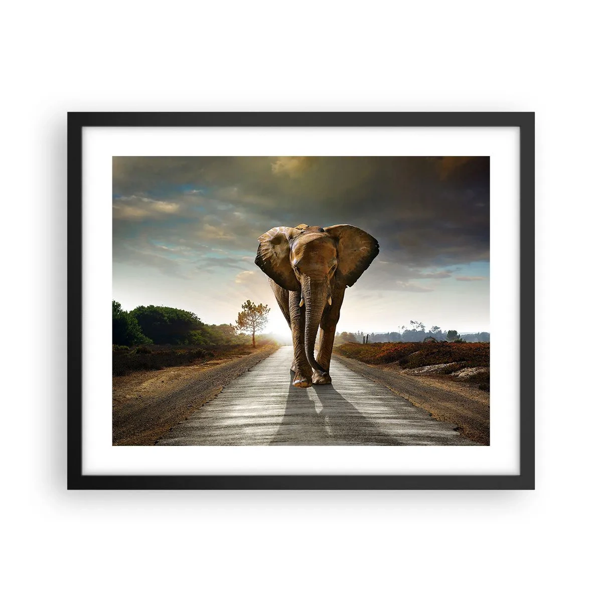 Poster in einem schwarzem Rahmen - Und schon gar nicht in einem Porzellanlager - 50x40 cm