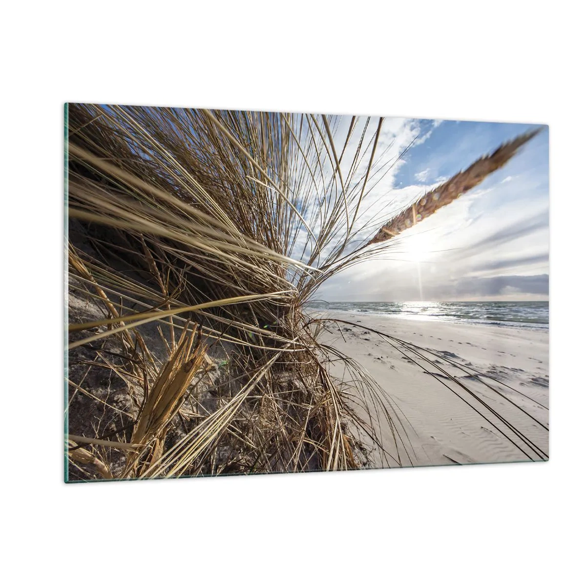 Glasbild - Bild auf glas - Goldenes Gras vor der Kulisse eines Sandstrandes und des Meeres - 120x80cm - Ein Treffen der Elemente der Natur - Moderne Wanddekoration für Wohnzimmer und Schlafzimmer ARTTOR
