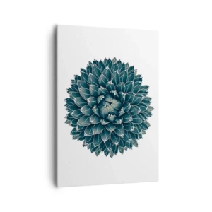 Bild auf Leinwand - Leinwandbild - Symmetrische Sukkulente auf weißem Hintergrund - 50x70cm - Stern der Wüste - Moderne Wanddekoration für Wohnzimmer und Schlafzimmer ARTTOR