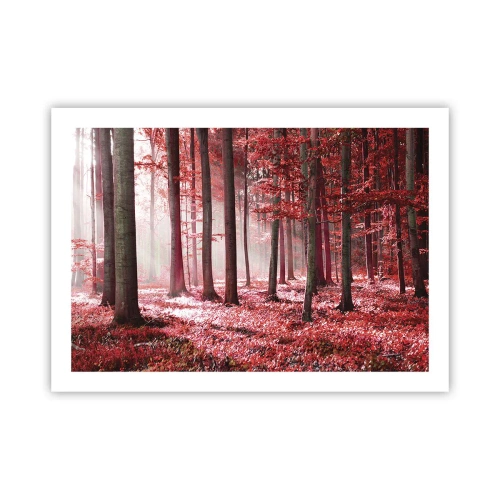 Poster - Rot ist genauso schön - 70x50 cm