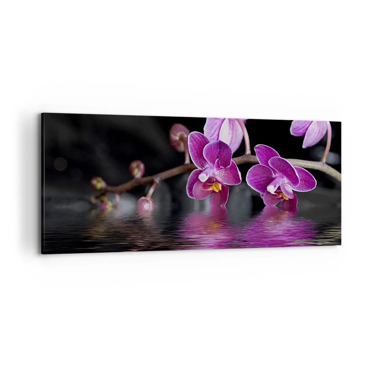 Bild auf Leinwand - Leinwandbild - Lila Orchideen über ruhigem Wasser vor schwarzem Hintergrund - 120x50cm - Lila Spiegelbild der Schönheit - Moderne Wanddekoration für Wohnzimmer und Schlafzimmer ARTTOR
