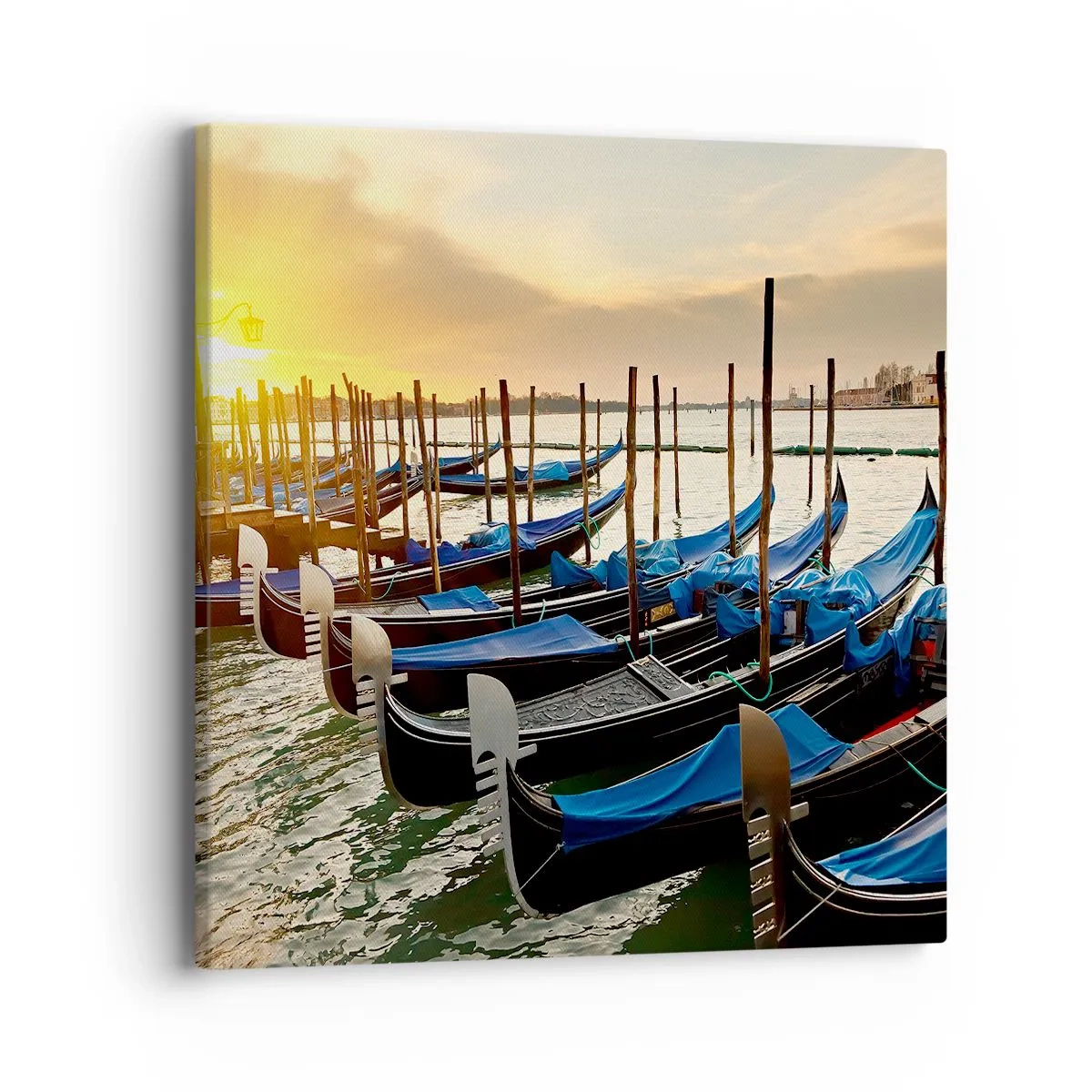 Bild auf Leinwand - Leinwandbild - Bevor das Summen kommt - 40x40 cm