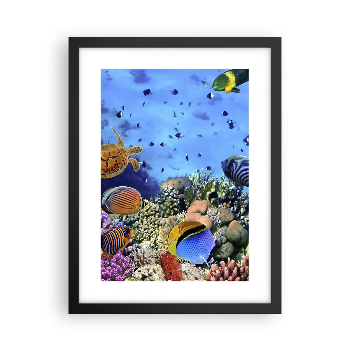Poster in einem schwarzem Rahmen - Und was wissen wir über das Leben ... - 30x40 cm