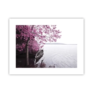 Poster - In rosa Stille - 40x30 cm