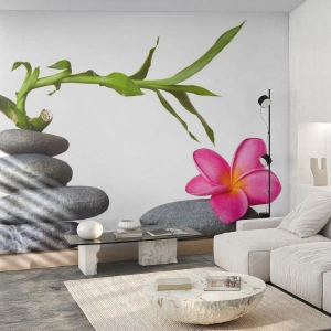 Fototapete Premium Sand - Farben des Lebens und der Dauer - Blume, Steine, Spa - 400x280 cm