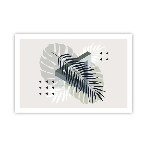 Poster - Natur und Geometrie – zwei Ordnungen? - 91x61 cm