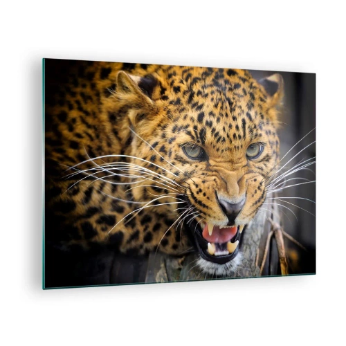 Glasbild - Bild auf glas - Nahaufnahme eines aggressiven Leoparden mit klaren Details - 70x50cm - Bleib zurück, ich warne dich! - Moderne Wanddekoration für Wohnzimmer und Schlafzimmer ARTTOR