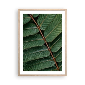 Poster in einem Rahmen aus heller Eiche - Im grünen Rhythmus - 50x70 cm