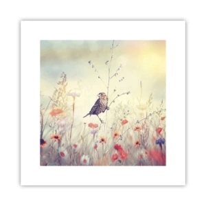 Poster - Vogelporträt mit einer Wiese im Hintergrund - 30x30 cm
