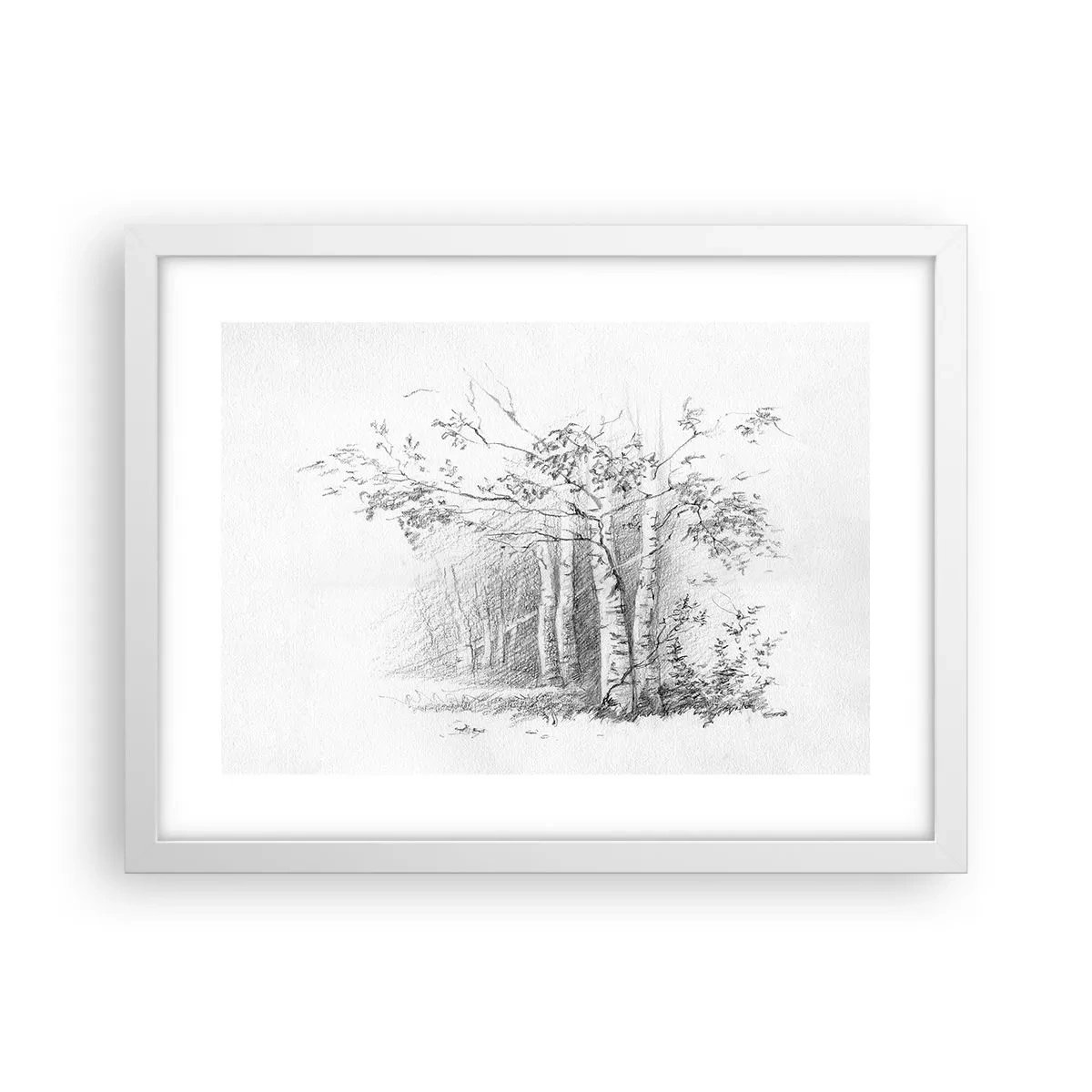 Poster in einem weißen Rahmen - Das Licht des Birkenwaldes - 40x30 cm