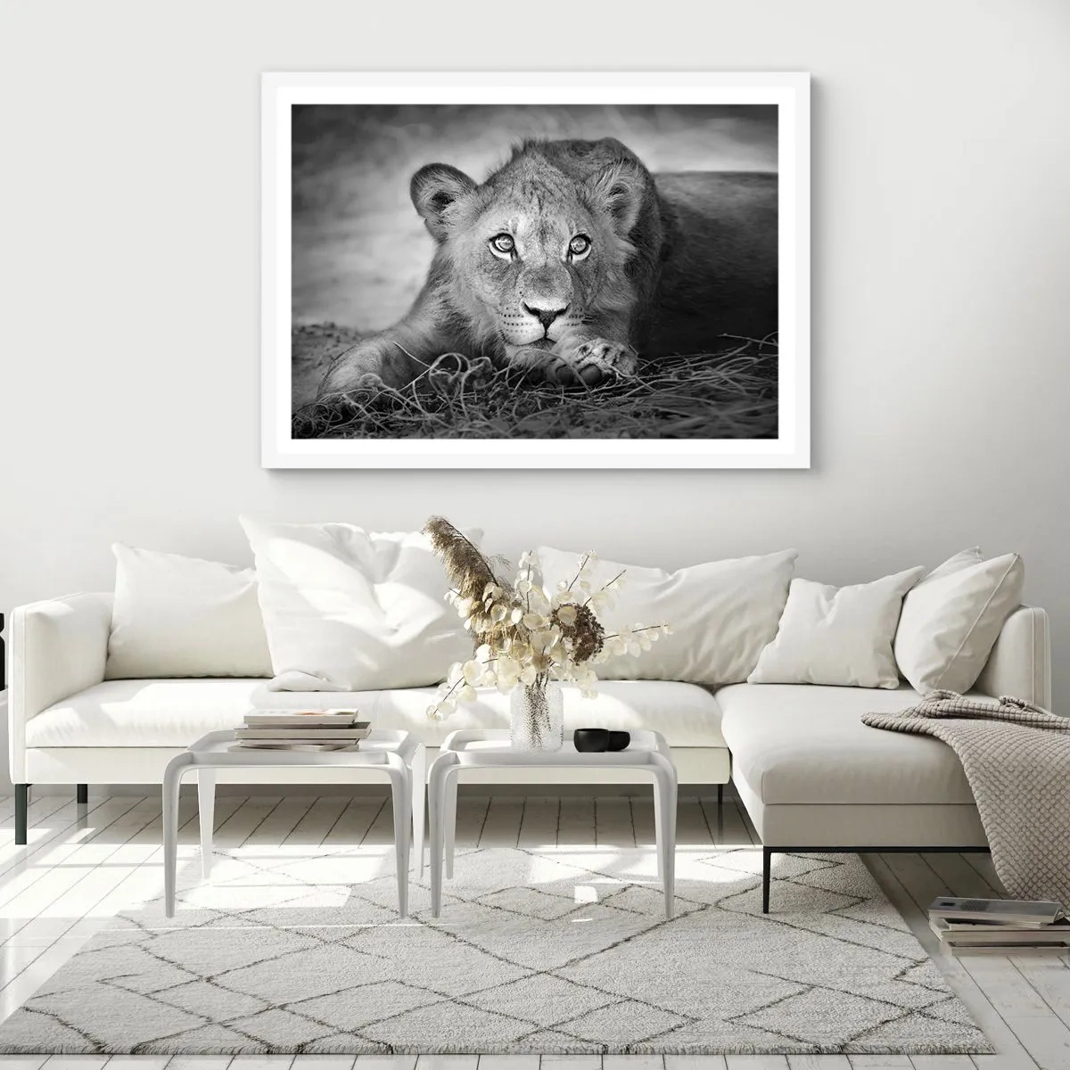 Poster in einem weißen Rahmen - Königlicher Welpe - 50x40 cm