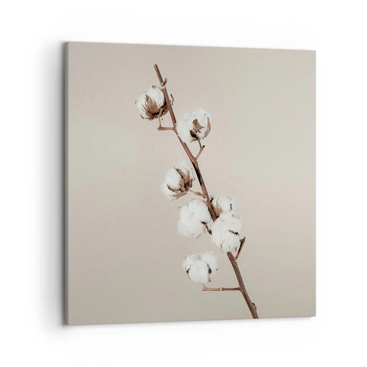 Bild auf Leinwand - Leinwandbild - An der Quelle der Weichheit - 50x50 cm