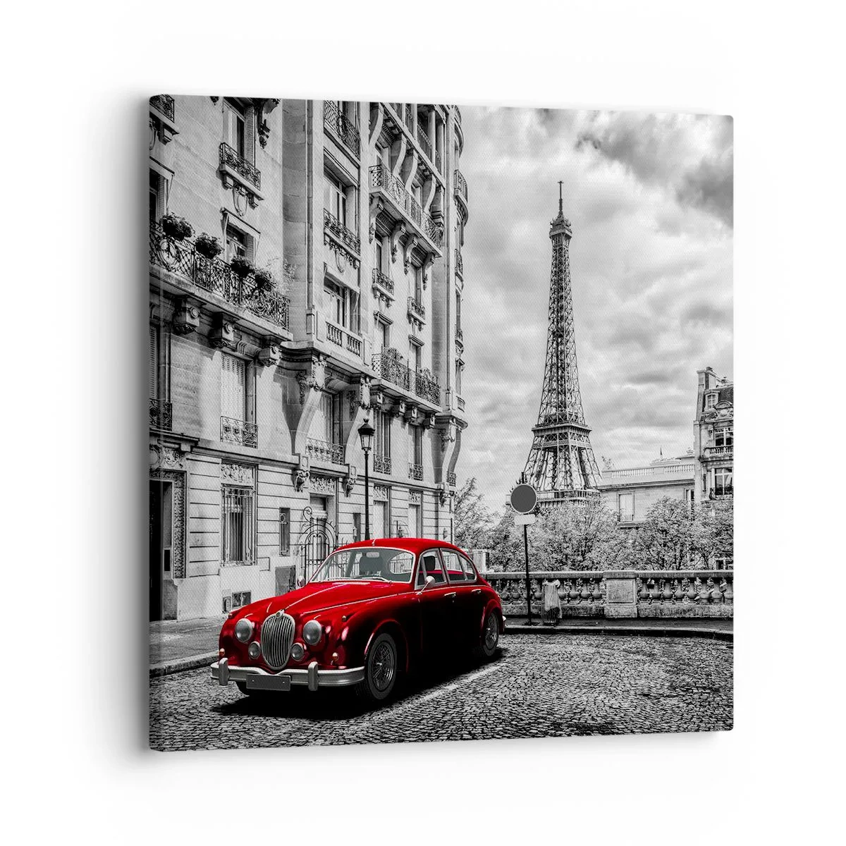 Bild auf Leinwand - Leinwandbild - Raubtier in der Stadt - 30x30 cm