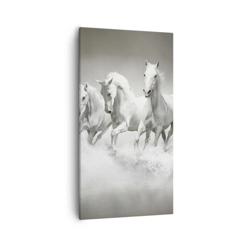 Bild auf Leinwand - Leinwandbild - Weißer Wahnsinn - 55x100 cm