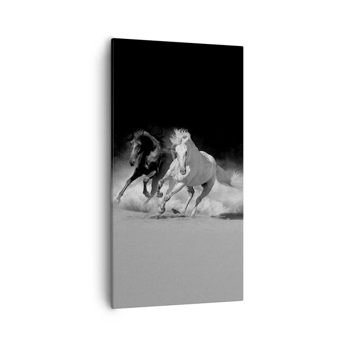 Bild auf Leinwand - Leinwandbild - Galopp der Freiheit - 55x100 cm