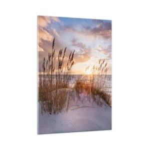 Glasbild - Bild auf glas - Sonnenuntergang über dem Meer durch die Gräser am Meer gesehen - 50x70cm - Abschied von Sonne und Wind - Moderne Wanddekoration für Wohnzimmer und Schlafzimmer ARTTOR