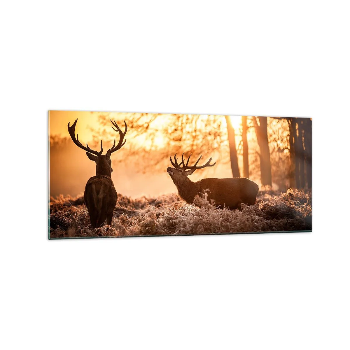 Glasbild - Bild auf glas - Zwei Hirsche bei Sonnenuntergang in einer Winterlandschaft - 120x50cm - Der Traum eines Jägers - Moderne Wanddekoration für Wohnzimmer und Schlafzimmer ARTTOR
