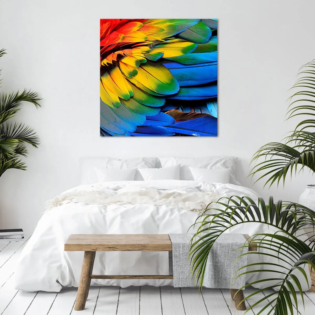 Bild auf Leinwand - Leinwandbild - Paradiesvogel - 60x60 cm