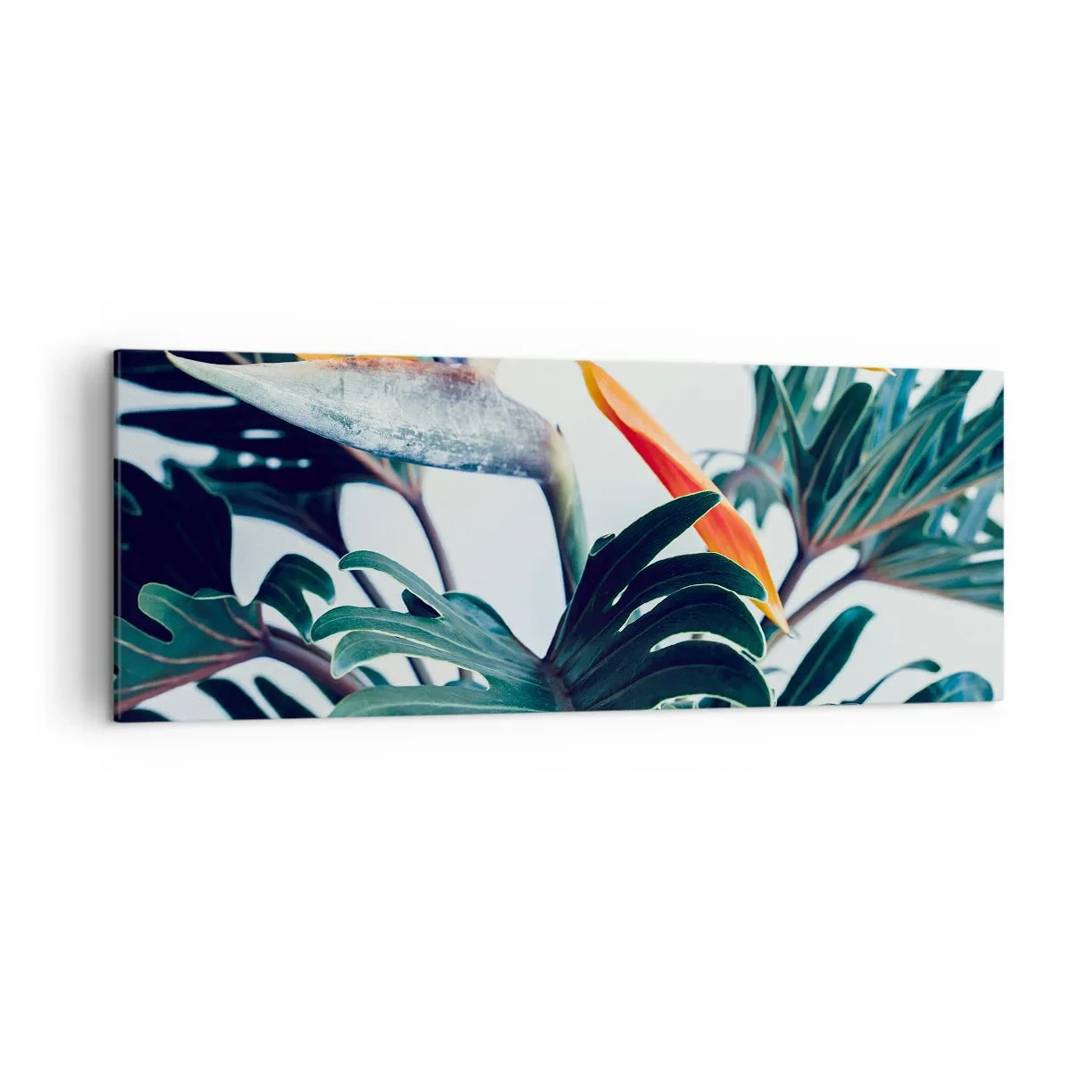 Bild auf Leinwand - Leinwandbild - Strelitzia-Blüte, umgeben von Blättern in hellem Licht - 140x50cm - Vogelbusch - Moderne Wanddekoration für Wohnzimmer und Schlafzimmer ARTTOR