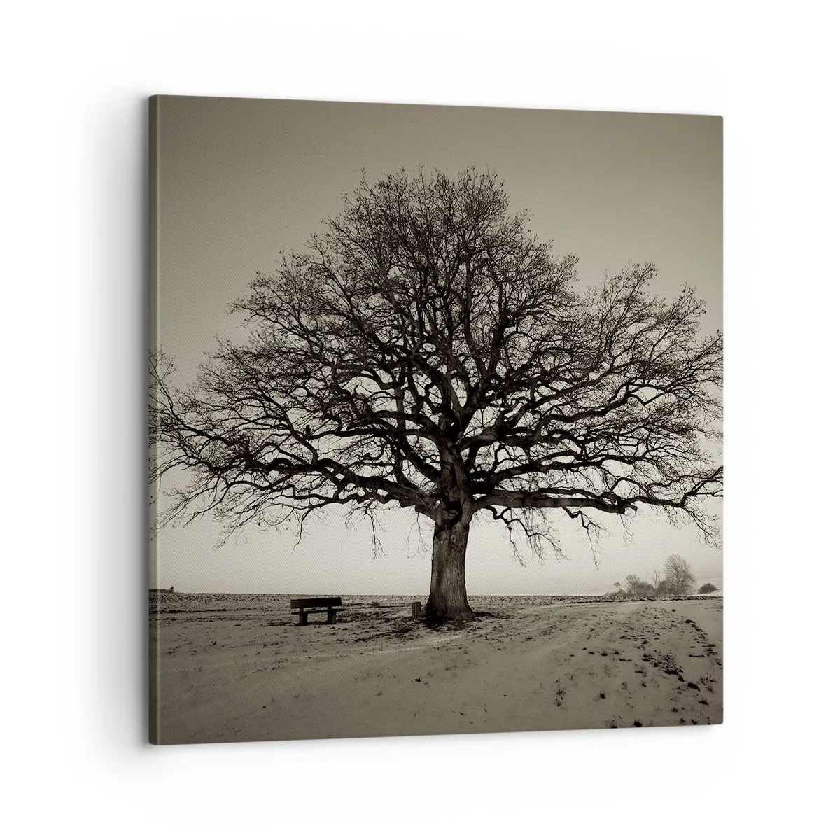 Bild auf Leinwand - Leinwandbild - Von hier zu Ewigkeit - 60x60 cm