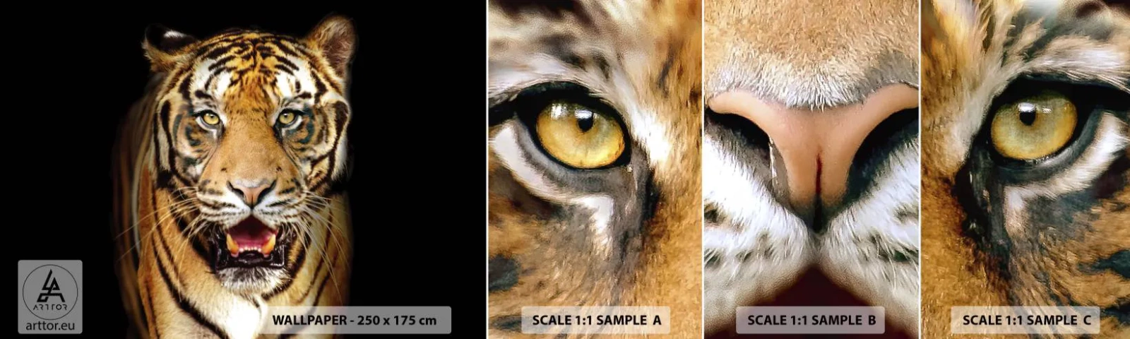 Fototapeten Muster Selbstklebend Deluxe Sticker - Wild im Herzen - Tiere, Tiger, Raubtier - 100x30 cm