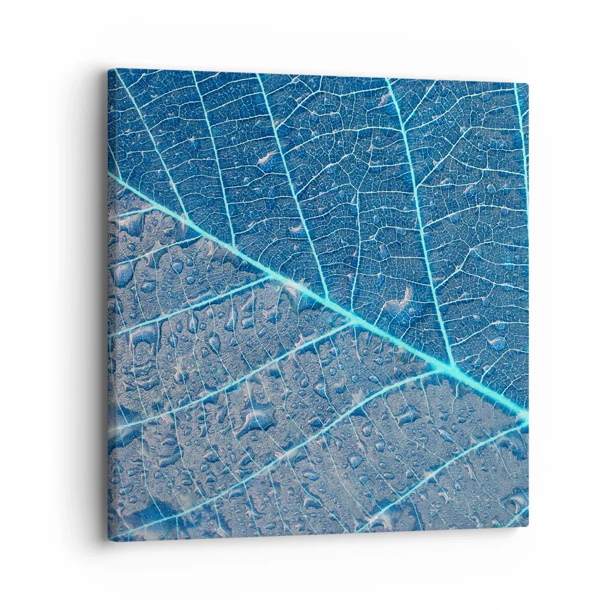 Bild auf Leinwand - Leinwandbild - Leben in Blau - 30x30 cm