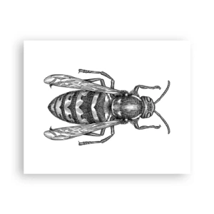 Poster - Von einem Insektenplaneten - 50x40 cm