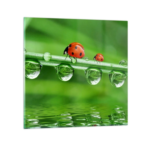 Glasbild - Bild auf glas - Den ganzen Sommer unterwegs - 40x40 cm