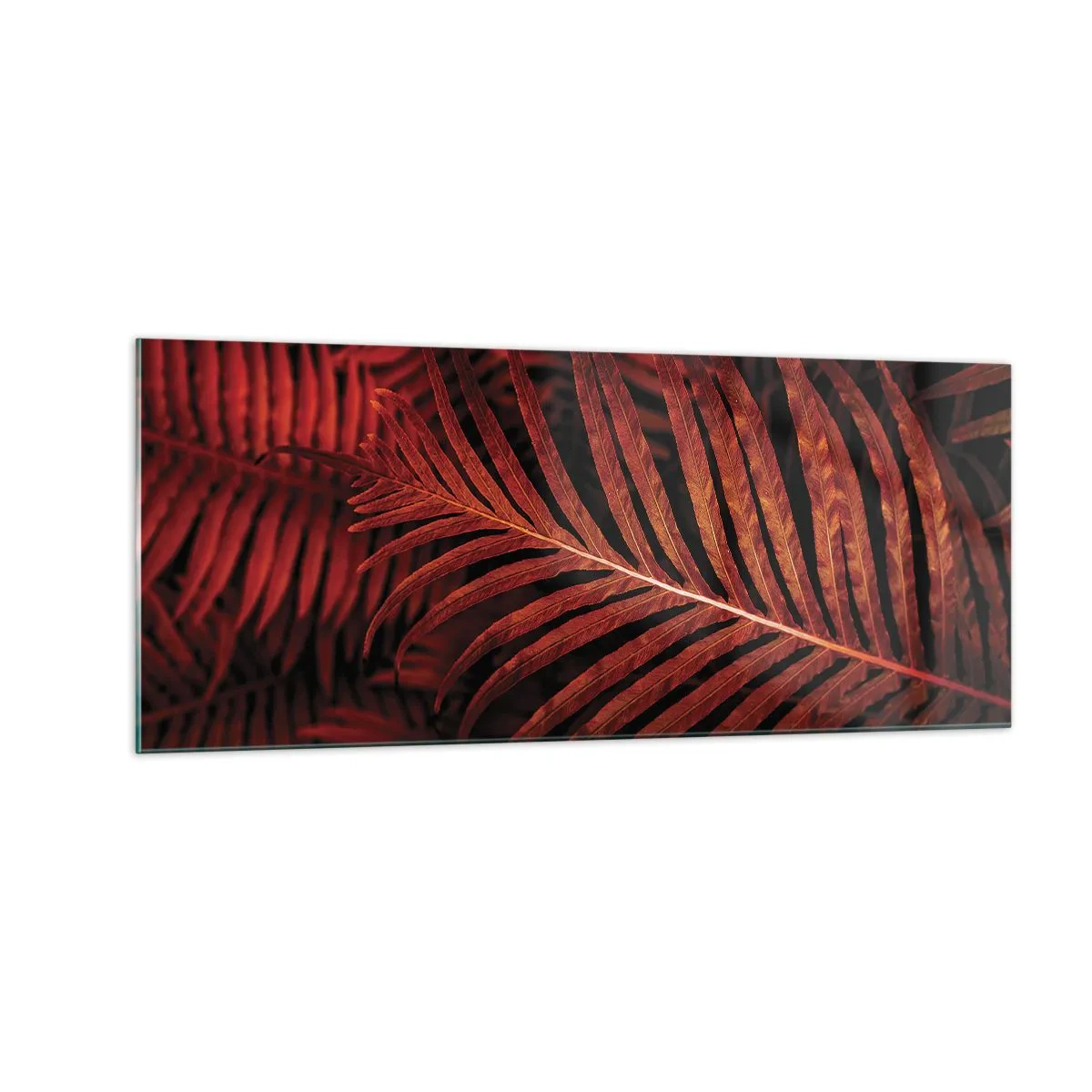 Glasbild - Bild auf glas - Die Hitze des Lebens - 100x40 cm