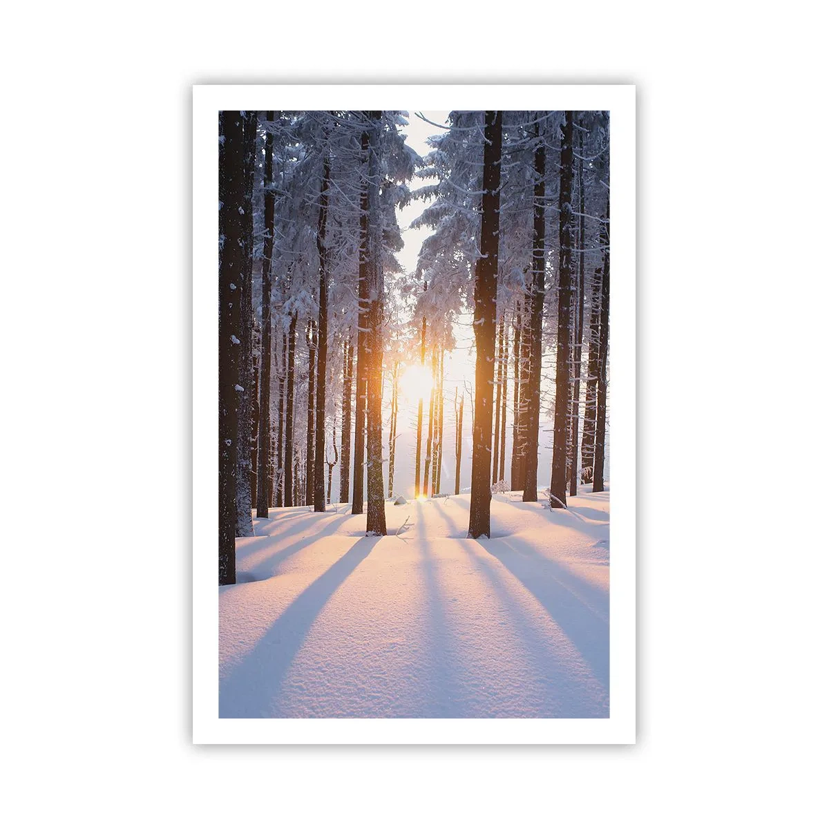 Poster - Ganz klar schwarz auf weiß - 61x91 cm