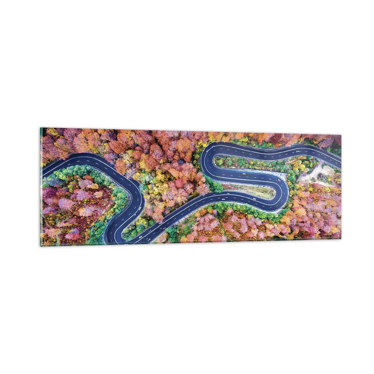 Glasbild - Bild auf glas - Kurvenreicher Weg durch den Wald - 90x30 cm