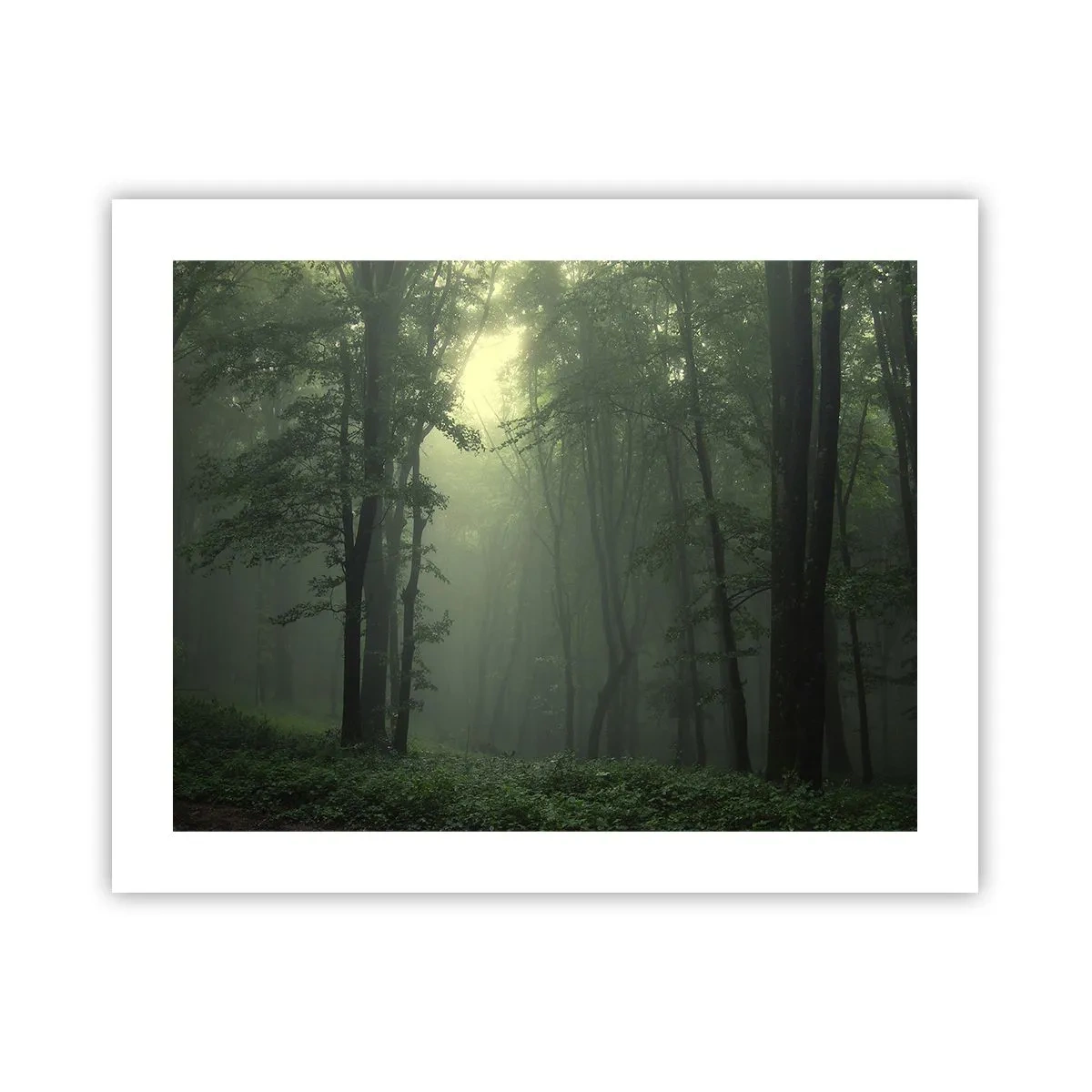 Poster - Bevor er aufwacht - 50x40 cm