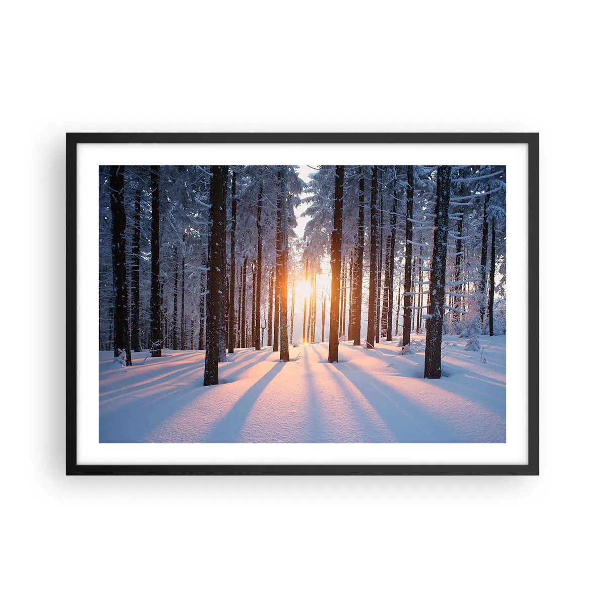 Poster in einem schwarzem Rahmen - Winterwald, beleuchtet von den Sonnenstrahlen - 70x50cm - Ganz klar schwarz auf weiß - Moderne Wanddekoration für Wohnzimmer und Schlafzimmer ARTTOR