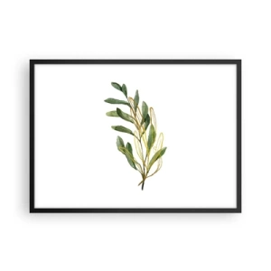 Poster in einem schwarzem Rahmen - Grüner Zweig mit Blättern auf weißem Hintergrund - 70x50cm - Alles was gut ist - Moderne Wanddekoration für Wohnzimmer und Schlafzimmer ARTTOR