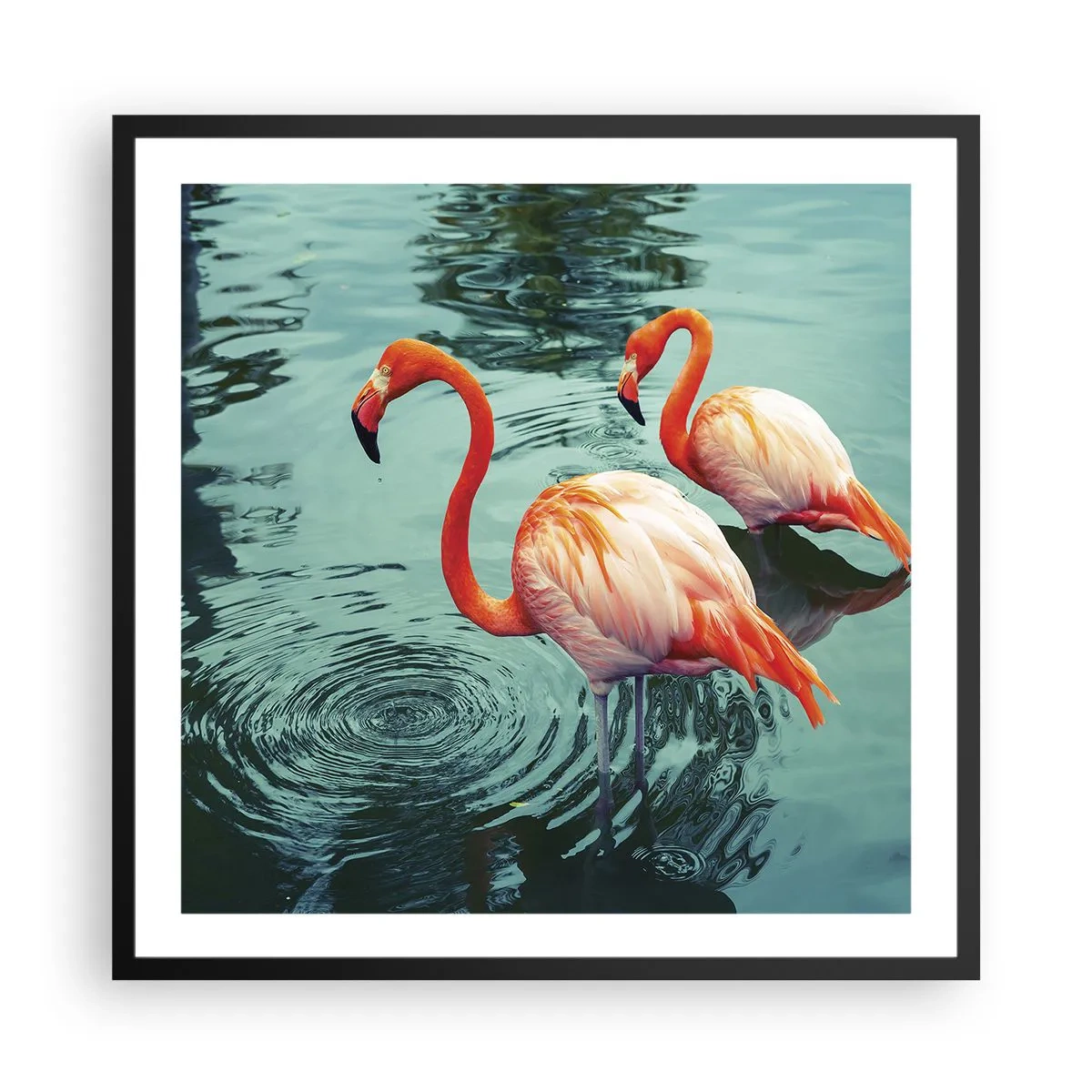 Poster in einem schwarzem Rahmen - Wir sind jetzt in Mode - 60x60 cm